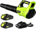 FOCOTOS Leaf Blower Cordless, Leaf Blower with Battery and Charger - 2 Speed Modes, 2 Batteries, 20V Powerful Lightweight Electric Blowers for Blowing Leaves, Lawn Care, Patio, Green