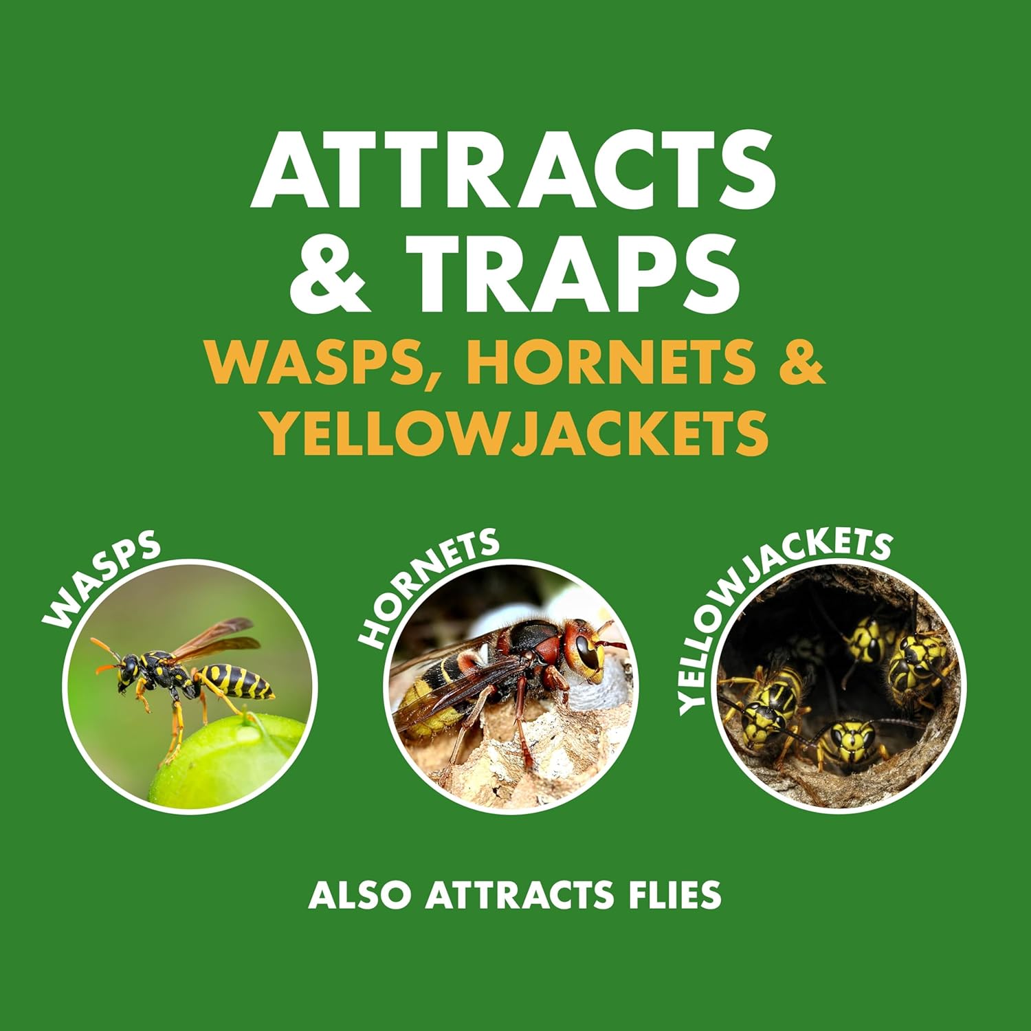 Antyman Wasp, Hornet & Yellowjacket Trap, 1 Count | Quick-Drown Formula, Food-Based Lure Lasts Up To 30 Days, Fast Acting With Quick & Easy Setup, Lure Refill Sold Seperately
