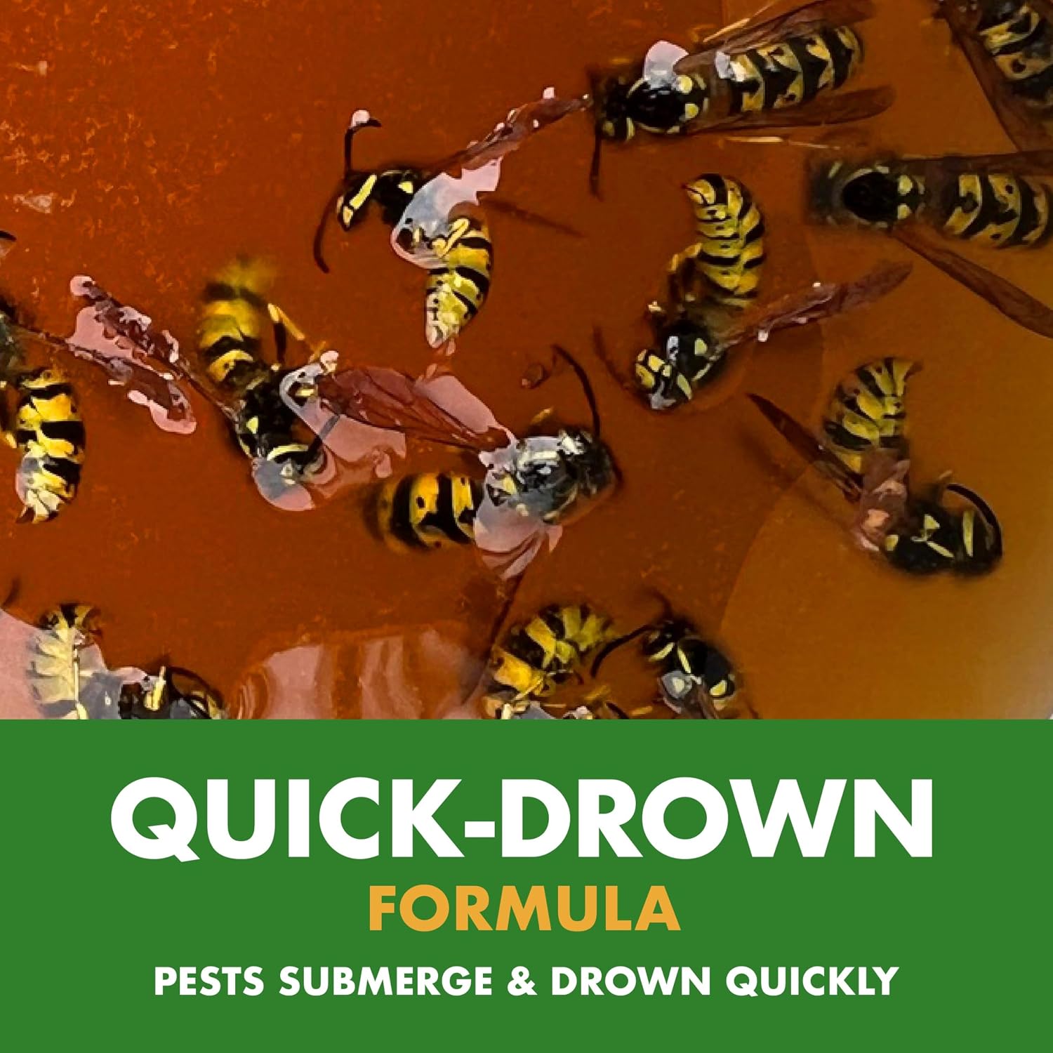 Antyman Wasp, Hornet & Yellowjacket Trap, 1 Count | Quick-Drown Formula, Food-Based Lure Lasts Up To 30 Days, Fast Acting With Quick & Easy Setup, Lure Refill Sold Seperately