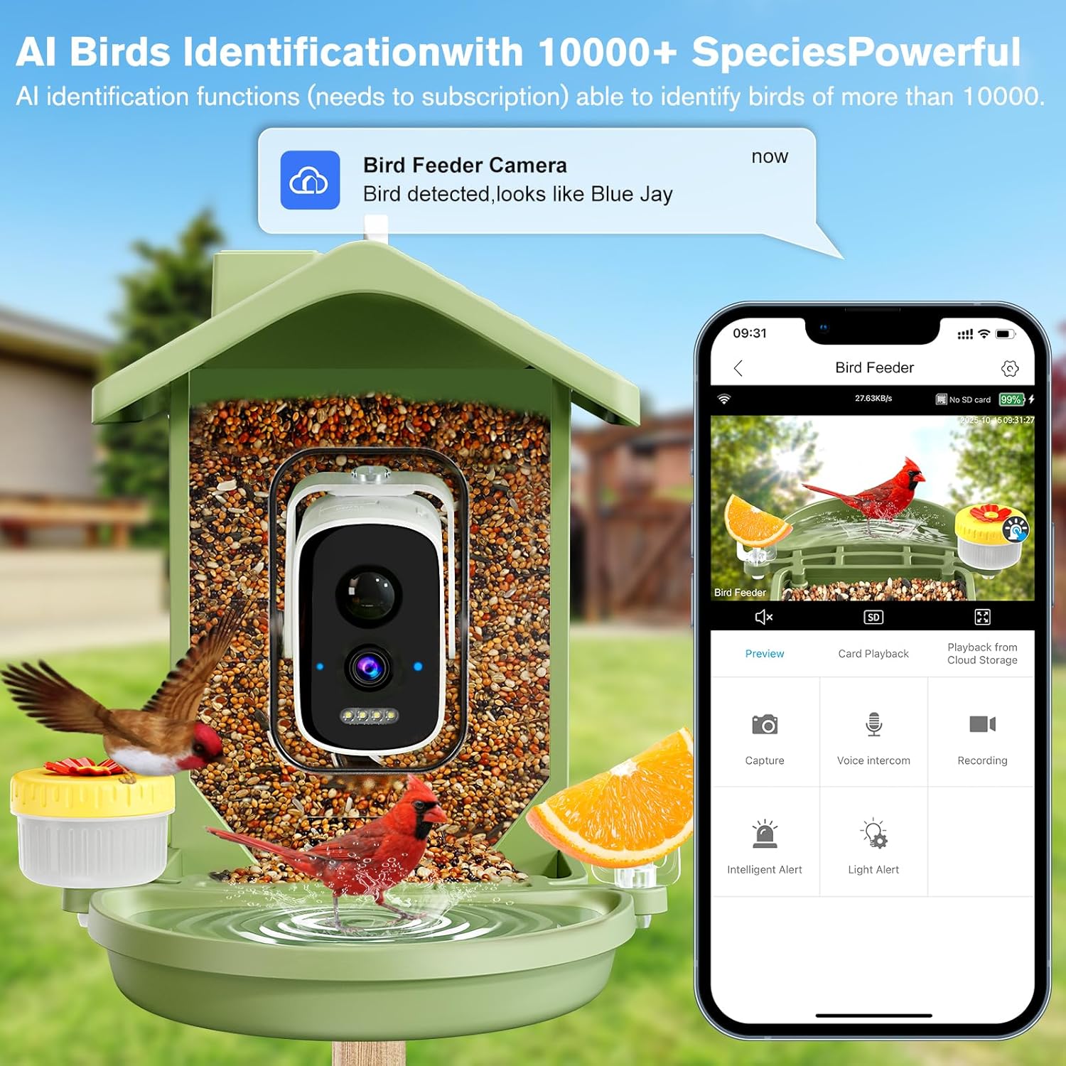 FOCOTOS Smart Bird Feeder with Camera Solar Powered, AI Birds Species Identification, 2.5K HD Video Bird House with Camera for Outside, Weatherproof Design Ideal Gifts for Christmas, Bird Lovers, Green