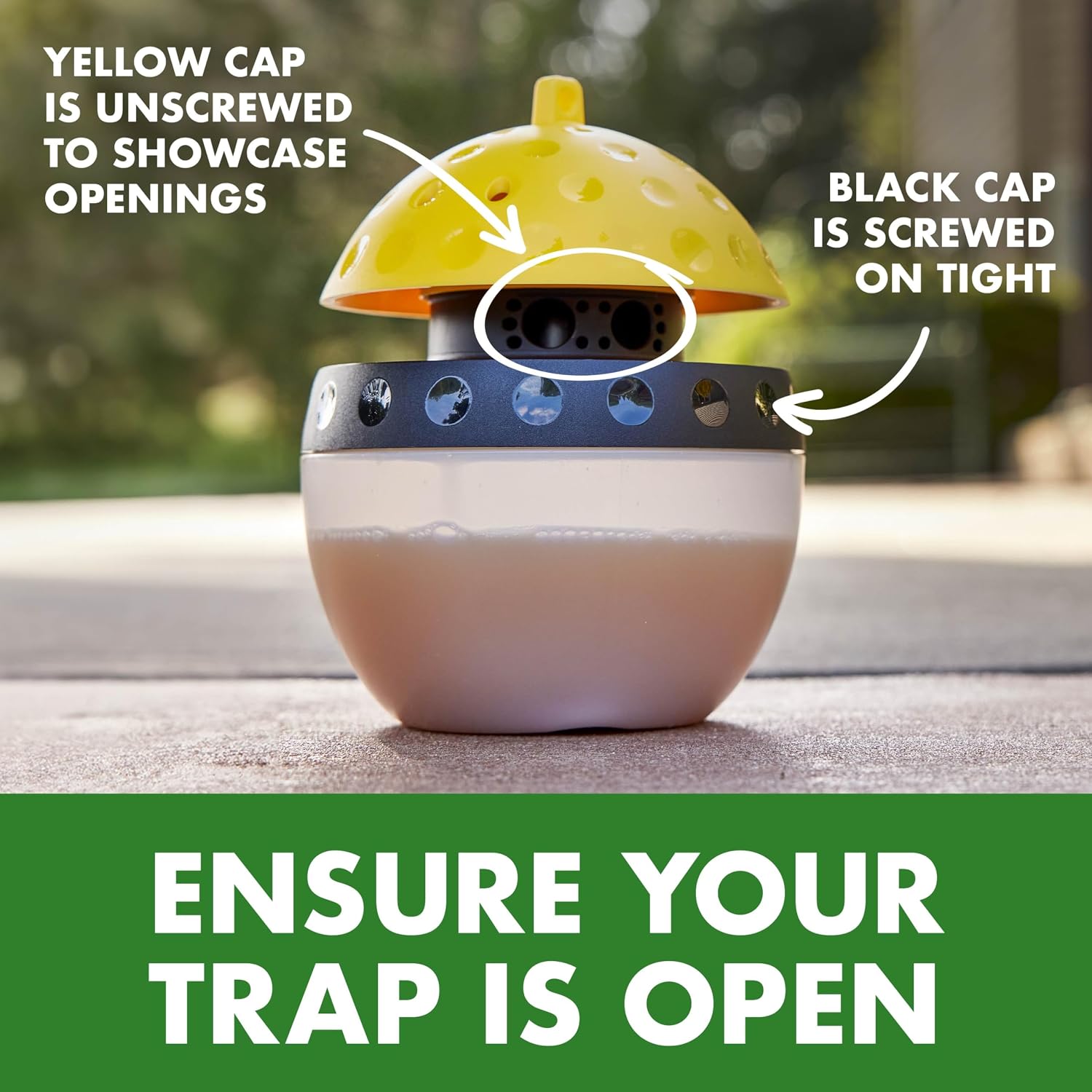 Antyman Wasp, Hornet & Yellowjacket Trap, 1 Count | Quick-Drown Formula, Food-Based Lure Lasts Up To 30 Days, Fast Acting With Quick & Easy Setup, Lure Refill Sold Seperately